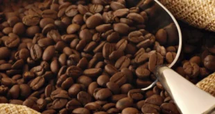 El café podría tener un efecto inesperado en tu salud cardiovascular