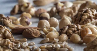 El Poder del Maní: Un Fruto Seco para Reducir el Colesterol y Potenciar la Proteína