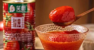 Producción Pasta de Tomate de China, viola los derechos humanos y atenta contra el ambiente
