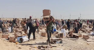 Buscar comida y encontrar la muerte: el drama diario en Gaza