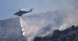 Europa arde: Olas de calor extremas e incendios forestales arrasan el continente