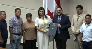Proyecto de Ley Bananera 290 Aprobado: Impulso al Sector en Panamá