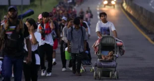 Deportaciones Masivas de Trump: ¿Un revés para la Economía de EE.UU.?