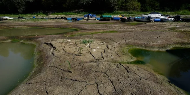 El Impacto Económico del Calor: Países en Riesgo y Soluciones