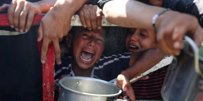 Hambruna en Gaza: Jóvenes, Ancianos y Enfermos Mueren de Hambre