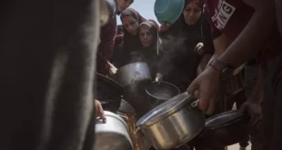 Hambruna en Gaza: Más de 115 vidas perdidas por la Crisis Humanitaria