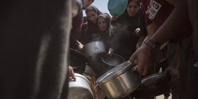 Hambruna en Gaza: Más de 115 vidas perdidas por la Crisis Humanitaria