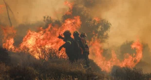 Incendios y Cierres de Nucleares: Ola de Calor Europea Revela Vulnerabilidad Climática