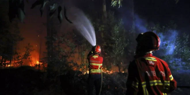 Portugal Lucha Contra Incendios Forestales: 2.500 Bomberos en Acción y Evacuaciones en Ponte da Barca