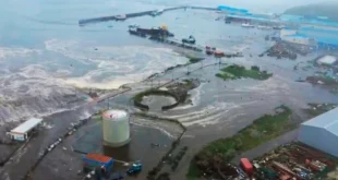Sacudida en Kamchatka: Terremoto de 8.8 Desata Pánico por Tsunamis en Todo el Pacífico