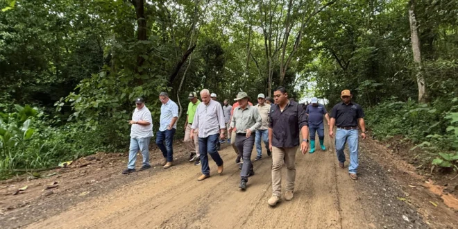 750 Hectáreas Más Verdes: MiAMBIENTE Lanza Plan de Reforestación en La Villa