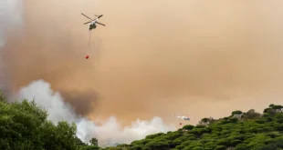 Incendio Forestal en Francia deja un Muerto, Heridos y Miles de Hectáreas en Cenizas