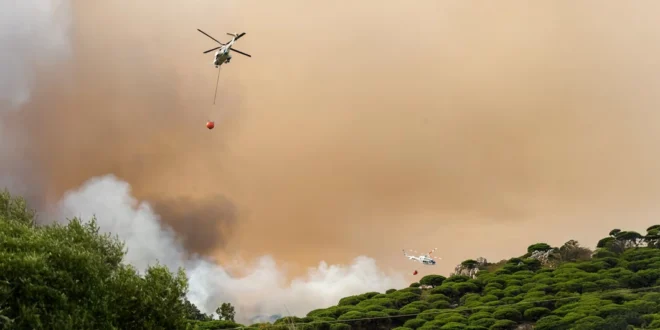 Incendio Forestal en Francia deja un Muerto, Heridos y Miles de Hectáreas en Cenizas