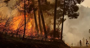 Incendios en España: La UE Envía Ayuda Aérea Urgente para Combatir el Fuego