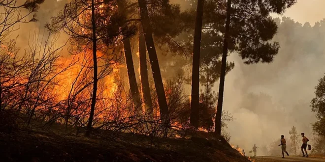 Incendios en España: La UE Envía Ayuda Aérea Urgente para Combatir el Fuego
