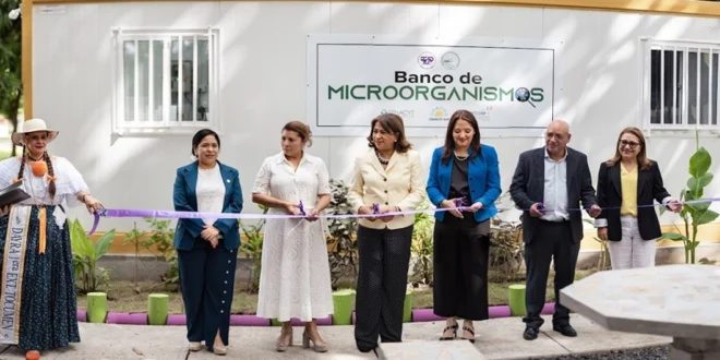 La UTP de Tocumen abre una Nueva Era en la Ciencia: Inauguran Banco de Reproducción de Microorganismos