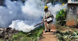 La Epidemia de Dengue en Panamá Alcanza un Cifra Alarmante: Más de 9,700 Casos y 15 Muertes en lo que va de 2025