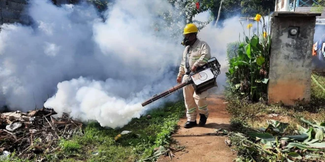 La Epidemia de Dengue en Panamá Alcanza un Cifra Alarmante: Más de 9,700 Casos y 15 Muertes en lo que va de 2025