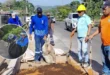 La Alcaldía de Panamá impulsa plan integral de reparación vial