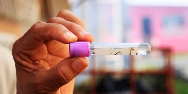 El Ministerio de Salud refuerza medidas ante brotes virales