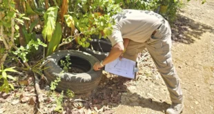 Minsa insiste en la participación ciudadana para frenar el dengue en Panamá