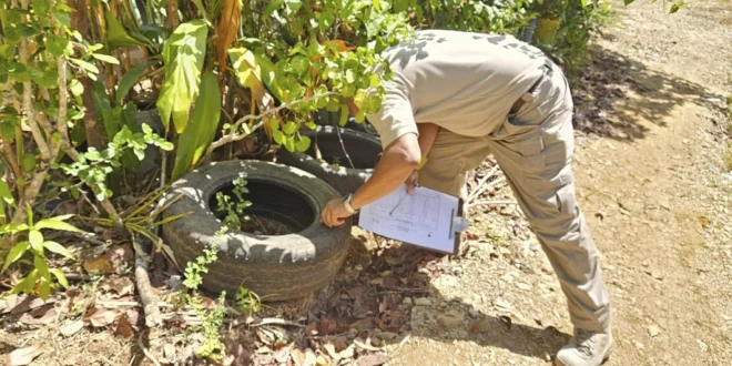Minsa insiste en la participación ciudadana para frenar el dengue en Panamá
