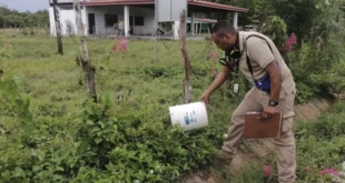 Minsa alerta: baja vacunación incide en muertes por influenza