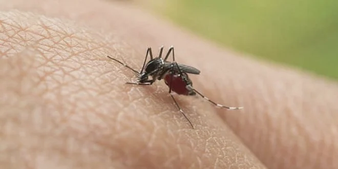 El MINSA refuerza llamado al autocuidado tras 822 casos de dengue y 20 muertes por influenza