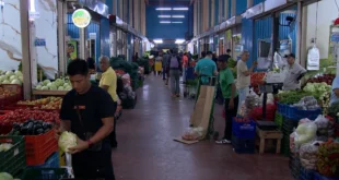 Comerciantes de Merca Panamá prevén estabilidad en precios tras tope al combustible