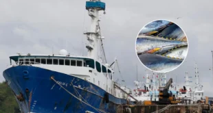 Tras 26 años de bloqueo, Panamá logra luz verde para vender atún a EE.UU.