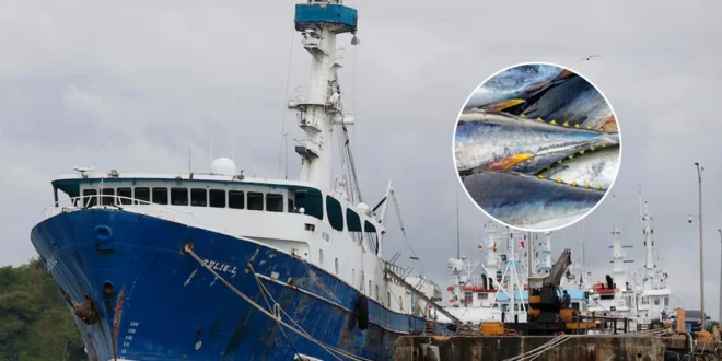 Tras 26 años de bloqueo, Panamá logra luz verde para vender atún a EE.UU.