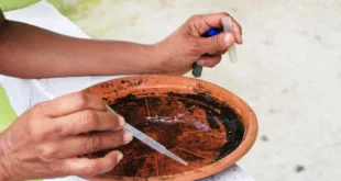 Panamá acumula 2,035 casos de dengue y autoridades refuerzan llamado preventivo