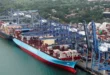 Puertos panameños superan los 4 millones de TEU entre enero y mayo de 2026