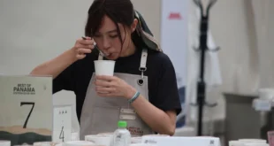 World of Coffee 2026 pondrá a Panamá en el centro de la industria cafetalera global