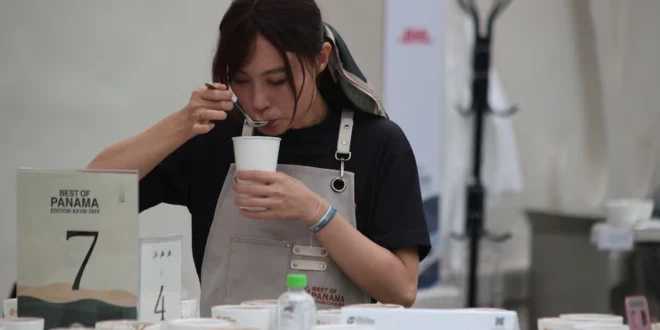 World of Coffee 2026 pondrá a Panamá en el centro de la industria cafetalera global