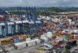 Puertos panameños crecen a 4.9 millones de TEU pese a transición de Balboa y Cristóbal