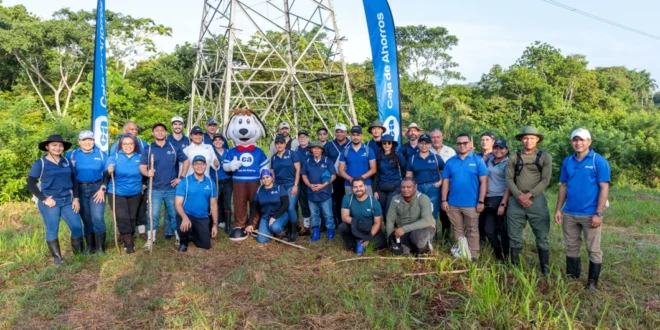 Caja de Ahorros siembra futuro en el Parque Nacional Soberanía