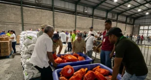 IMA prepara la compra de 500 mil jamones nacionales para las Naviferias 2026